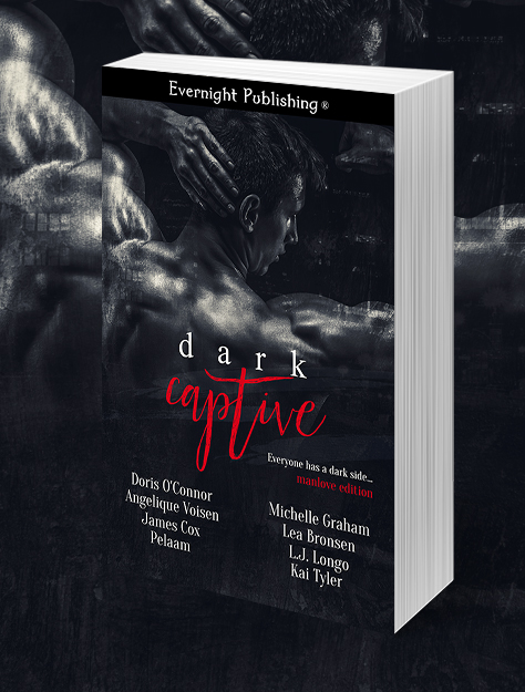Dark-Captive2-Evernightpubishing-Jayaheer2016-3Drender