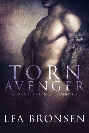 Torn Avenger_ebook cover 300x450