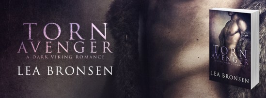 Torn Avenger_banner2