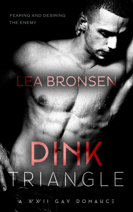 Pink Triangle_cover ebook3